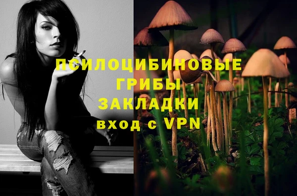 винт Абаза