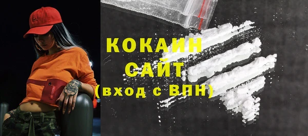 винт Абаза