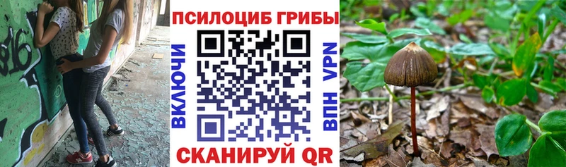 Галлюциногенные грибы прущие грибы  Адыгейск 